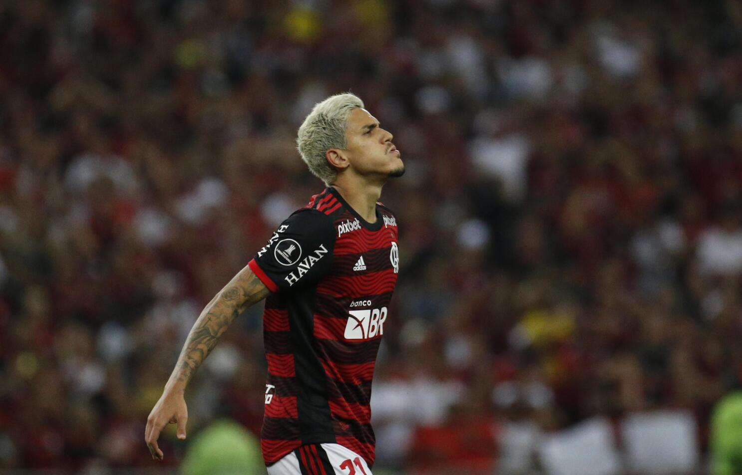 All-Brazil Copa Libertadores final after Flamengo advances | AP News